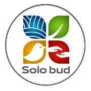 Solo bud
